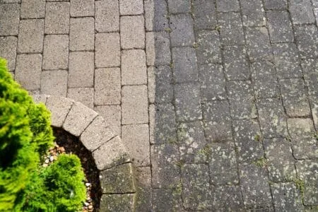 Frisch gereinigtes Pflaster